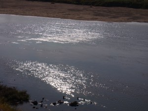 大和川の水面